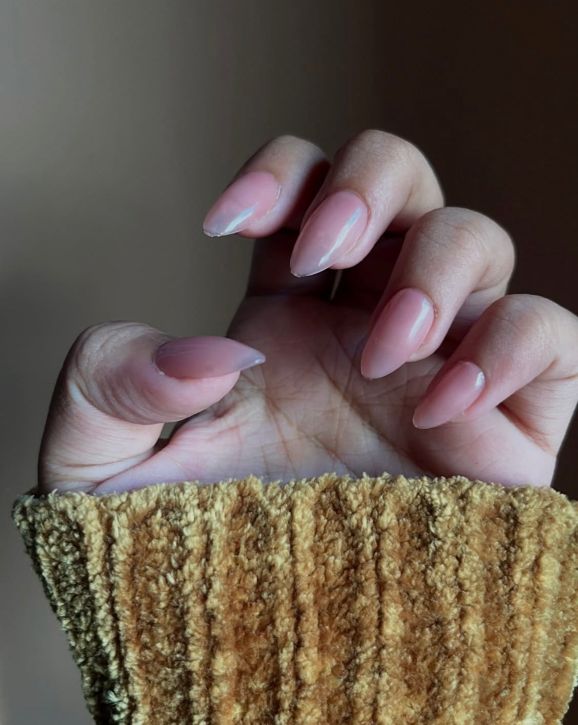 NATURAL PINK SOLID SET - Nailsum